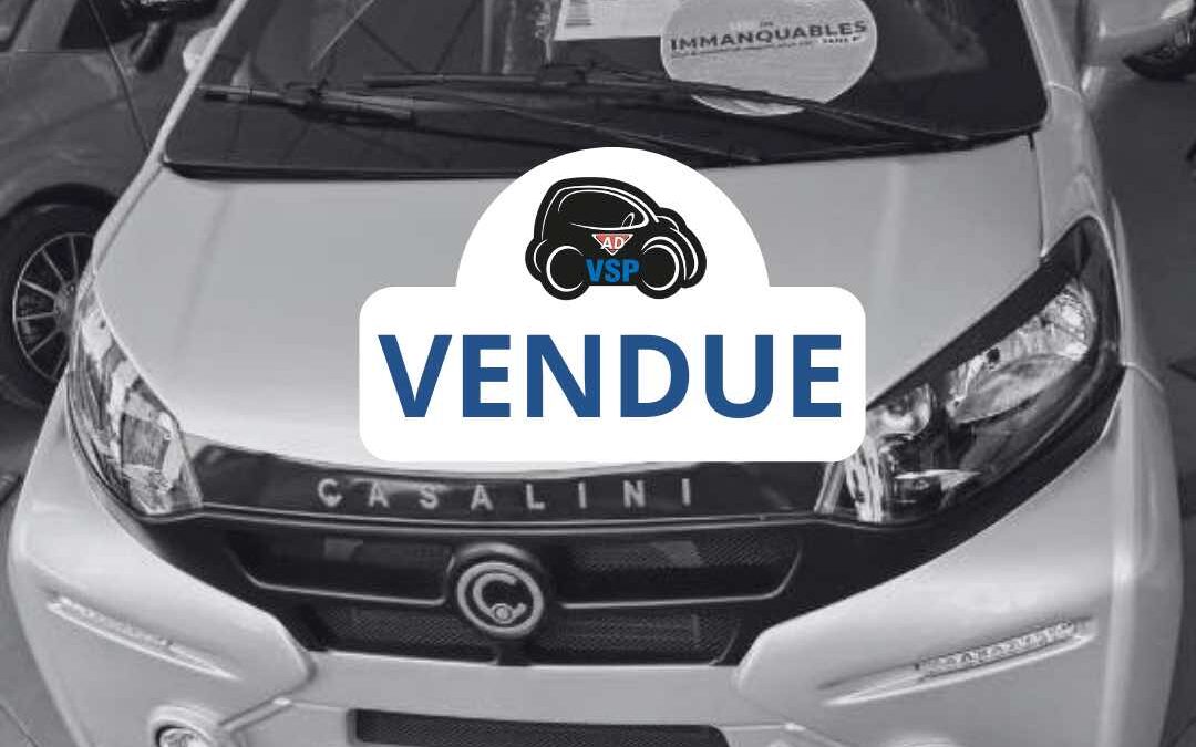 [VENDU] – CASALINI ALPINA 550 – A Vendre Véhicule neuf – Gris silver – 2025