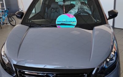 Ligier JS50 Sport Ultimate – Dépôt Vente Véhicule 1ère main – Gris Asphalte – 2024