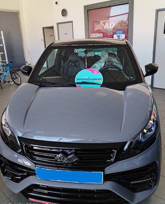 Ligier JS50 Sport Ultimate – Dépôt Vente Véhicule 1ère main – Gris Asphalte – 2024